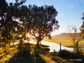 Lake Front Yala Safari